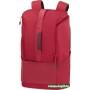Рюкзак Samsonite Hexa-Packs M CO5-40002