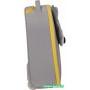 Чемодан Samsonite Happy Sammies Eco Raccoon Remy 45 см
