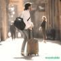 Чемодан-спиннер Thule Aion Carry on Spinner 3204719 (черный)