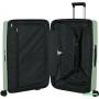 Чемодан-спиннер Samsonite Upscape Soft Sage 75 см