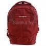 Рюкзак Samsonite Rewind 10N*10 001